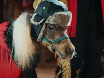 Dressed Pony in Hotels.com Commercial
