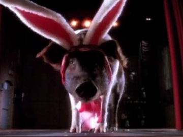 Cadbury Commercial - Pig with Bunny Ears