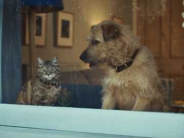 Tetley Tea Dog and Cat Advert