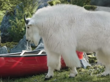 Subaru Outback Goat Commercial