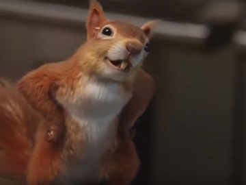 Amazon Alexa Commercial - Robert Downey Jr & Squirrel