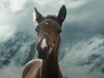 Ford Bronco Sport Horse Raised by Goats Commercial
