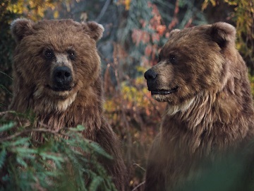 TWIX Twin Brothers & Bears Commercial